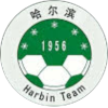Heilongjiang Harbin Football Team